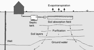 Septic System Diagram